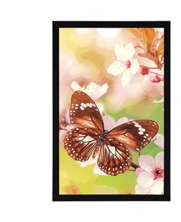 Zvířata Plakát jarní květiny s exotickými motýly