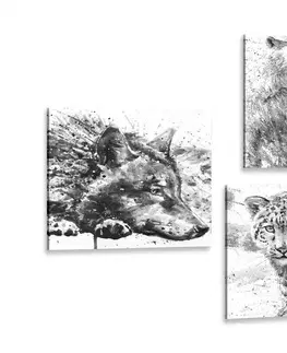 Sestavy obrazů Set obrazů zvířata v černobílém akvarelovém provedení