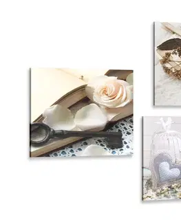Sestavy obrazů Set obrazů lucerny v zajímavé kombinaci