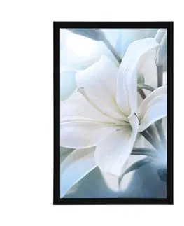 Květiny Plakát bílý květ lilie na abstraktním pozadí