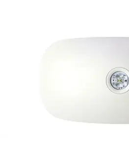 Nouzová svítidla Light Impressions Deko-Light nástěnné přisazené nouzové svítidlo Almach pro osvětlení chodeb 230V AC/50-60Hz 1,00 W 4500 K 191,56 bílá 731142