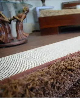 Koberce a koberečky Dywany Lusczow Kusový koberec SHAGGY Izebelie 5cm hnědý, velikost 300x600