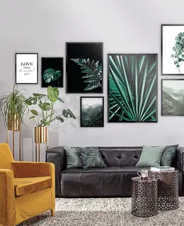 Obrazy a plakáty Sada obrázků Green Jungle 7ks