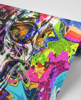 Abstraktní tapety Tapeta barevná umělecká lebka