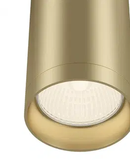 Moderní bodová svítidla MAYTONI Stropní svítidlo Focus C010CL-01MG