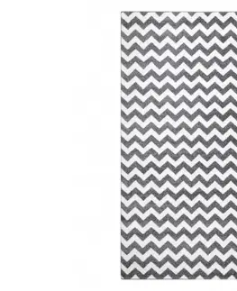 Koberce a koberečky Dywany Lusczow Kusový koberec SKETCH MIKE šedý / bílý - Cikcak, velikost 180x270