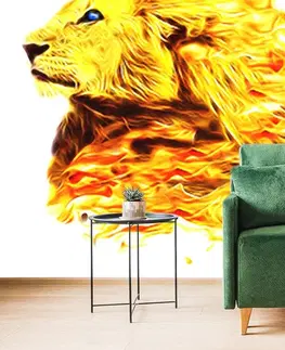 Tapety zvířata Tapeta ohnivý lev