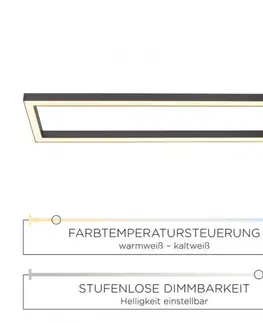 Designová stropní svítidla PAUL NEUHAUS PURE-LINES, LED stropní svítidlo, antracit, rám, 110x30 cm 2700-5000K 6023-13