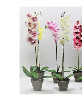 Umělé květy PROHOME - Orchidea umelá 63cm různé druhy