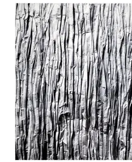Koberce a koberečky Tutumi Koberec Nature 4D Grey Rock, velikost 200x300