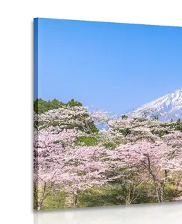Obrazy přírody a krajiny Obraz sopka Fuji