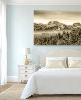 Černobílé obrazy Obraz zamrzlé hory v sépiovém provedení