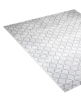 Moderní koberce Světle šedý moderní koberec s jednoduchým vzorem