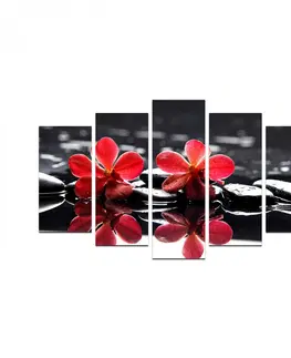 Obrazy Hanah Home Vícedílný obraz Květy 110x60 cm