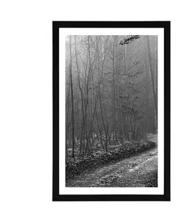 Černobílé Plakát s paspartou černobílá cestička do lesa