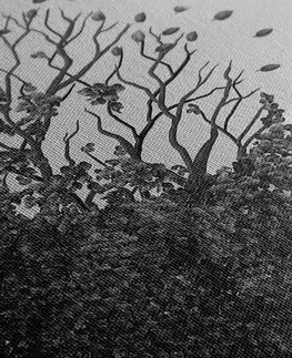 Černobílé obrazy Obraz strom v podobě obličeje