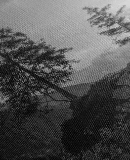 Černobílé obrazy Obraz černobílá horská krajina u jezera
