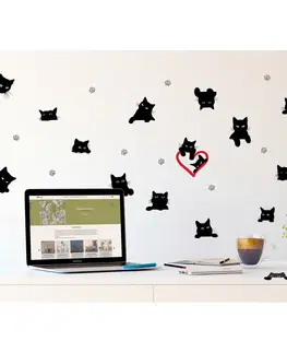 Samolepky na zeď Samolepící dekorace Cats, 30 x 30 cm