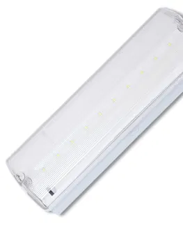 Nouzová svítidla Ecolite Nouzové LED sv., 10xSMD5730, 5000K, IP65 TL638L-LED