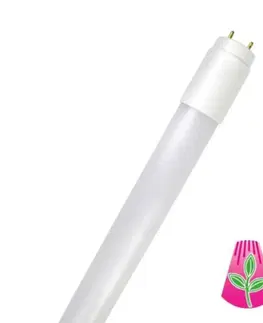 Lampy pro rostliny Bioledex LED trubice GoLeaf T8 G13 plné spektrum 19W 150cm