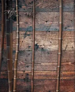 Samolepící tapety Samolepící tapeta exotický bambus na dřevě