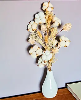 Květinové dekorace 1 větvička bavlníku