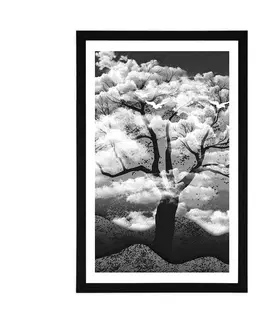 Černobílé Plakát s paspartou černobílý strom zalitý oblaky