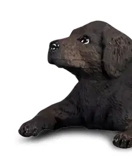 Hračky COLLECTA - Labradorský retrívr štěně