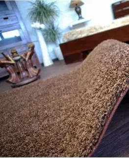 Koberce a koberečky Dywany Lusczow Kusový koberec SHAGGY Izebelie 5cm hnědý, velikost 250x300