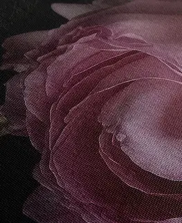 Obrazy květů Obraz kytice květů v detailním záběru