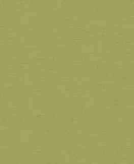 Závěsy Závěs dekorační nebo látka, OXY Plátno, zelený, 150 cm 150 cm