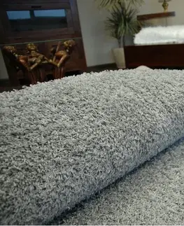Koberce a koberečky Dywany Lusczow Kusový koberec SHAGGY Izebelie 5cm šedý, velikost 200x350