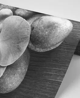 Černobílé tapety Fototapeta černobílá orchidej a kameny