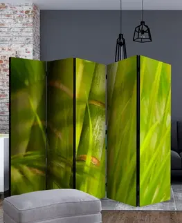 Paravány Paraván Bamboo - nature zen Dekorhome 225x172 cm (5-dílný)