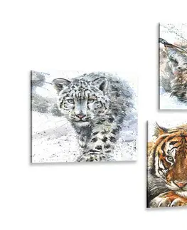 Sestavy obrazů Set obrazů zvířata v nádherném akvarelovém provedení