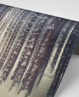 Samolepící tapety Samolepící fototapeta les zahalený sněhem