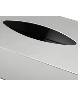 Koupelnový nábytek Box na papírové kapesníky NEXIO leštěný nerez BLOMUS