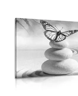 Černobílé obrazy Obraz rovnováha kamenů a motýl v černobílém provedení