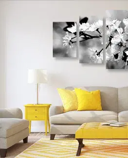 Černobílé obrazy 5-dílný obraz třešňový květ v černobílém provedení