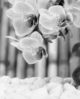 Samolepící tapety Samolepící fototapeta japonská černobílá Zen zahrada