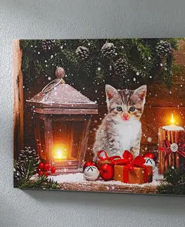 Svíčky a světelné dekorace LED obraz "Kotě s dárkem"