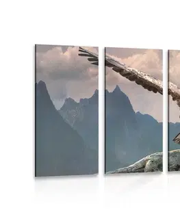 Obrazy zvířat 5-dílný obraz orel s roztaženými křídly nad horami