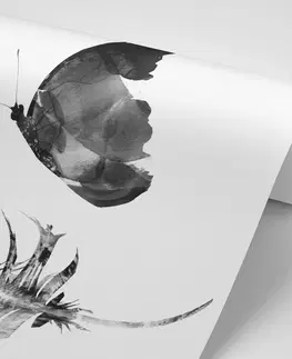 Samolepící tapety Samolepící tapeta pírko s motýlem v černobílém