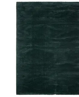 Hladce tkaný koberce TKANÝ KOBEREC Octavia 2, 120/170cm, Zelená