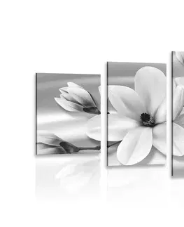 Černobílé obrazy 5-dílný obraz luxusní magnolie s perlami v černobílém provedení