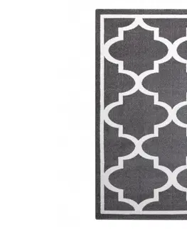 Koberce a koberečky Dywany Lusczow Kusový koberec SKETCH KIERAN šedý  / bílý trellis, velikost 240x330