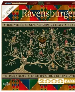 Hračky puzzle RAVENSBURGER - Harry Potter: Rodokmen 2000 dílků Panorama
