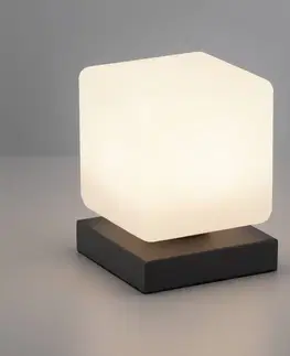 Stolní lampy Paul Neuhaus LED stolní lampa Dadoa, stmívatelná, antracit