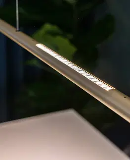 Závěsná světla Sattler Sattler Palito Linea, 3 000K, TRIAC, 175cm, zlatá
