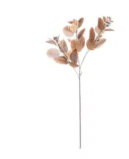 Umělé květiny Větev eukalyptu 80cm brown